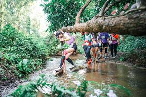 BIB: 
                            <button type="button" onclick="openModal(25516974)" class="btn btn-primary btn-sm float-right btn-popup" data-toggle="modal" data-target=".modal-high-quality">
                        <i class="fas fa-shopping-cart"></i> Add to Cart
                    </button>
                                            <button type="button" onclick="isThisMe(25516974, true)" class="btn btn-success btn-sm float-right btn-popup btn-isme hidden" data-toggle="tooltip" data-placement="bottom" title="นี่คือรูปของคุณใช่ไหม คลิกที่นี่เพื่อเอาเข้าอัลบั้ม">
                        <i class="fas fa-plus"></i> Add to album
                    </button>
                    <button type="button" onclick="isThisMe(25516974, false)" class="btn btn-warning btn-sm float-right btn-popup btn-isnotme hidden">
                        <i class="fas fa-ban"></i> Remove from album
                    </button>